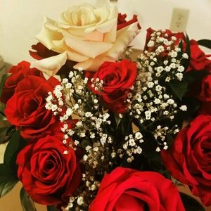 Meet your Posher, Anne